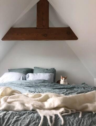 Beautiful Cosy Apartments In The Heart Of Antverpy Exteriér fotografie